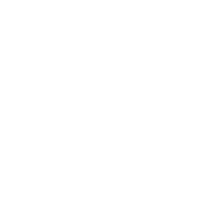 MAS Institute